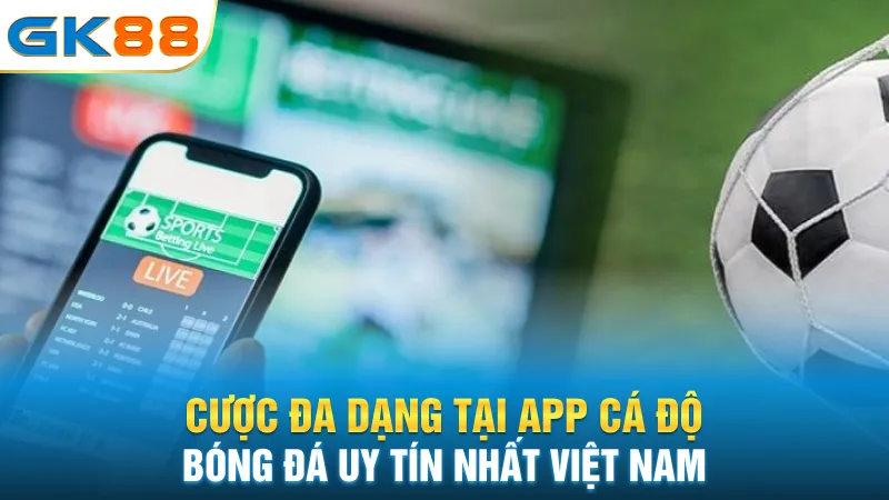 cuoc-da-dang-tai-app-ca-do-bong-da-uy-tin-nhat-viet-nam