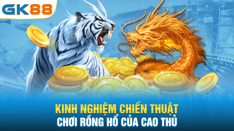 kinh-nghiem-chien-thuat-choi-rong-ho-cua-cao-thu